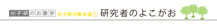 分子研の散歩道1 研究者のよこがお